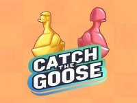 Goose Puzzle Match