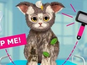 Cat Care ASMR Relaxing Salon