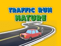 Traffic Run Nature Driving Arcade