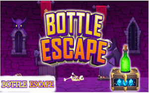 Balance Bottle Puzzle Journey
