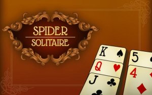 Spider Solitaire Cards Game